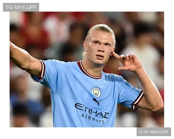 哈兰德心理稳定性